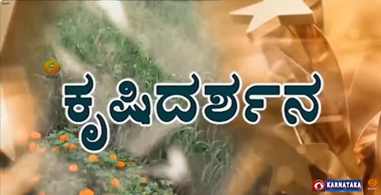 Krishi Darshana | Farmer's experience in pomegranate cultivation